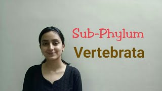 SubPhylum Vertebrata  Biological classification part 22  Class XILecture 50 [upl. by Hogan]