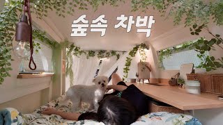 🚌세상에 하나뿐인 캠핑카에서 강아지와 단둘이 가을 차박 즐기기  묵은지 삼겹살  솔로 캠핑  스타렉스 자작 캠핑카  전라남도 보성 하느제 캠핑장 [upl. by Enitsyrk]