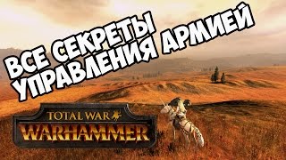 Управление армией 🏆 Total War Warhammer [upl. by Yluj]