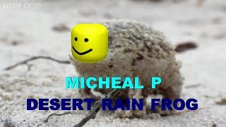 MICHEAL P SCREAMS IN FROG FORM [upl. by Eislrahc601]