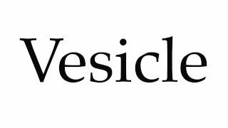 How to Pronounce Vesicle [upl. by Carbrey]