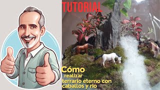 DIY Como hacer terrario eterno con un rio caballos y fitonias [upl. by Naitsirhc]