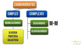 CARBOHIDRATOS ESTRUCTURA Y CLASIFICACIÓN [upl. by Elhsa209]