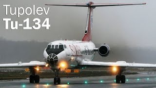 Tu134  a jet for everyone [upl. by Eelirak]