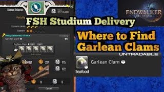 Where to Find Garlean Clams for FSH 3rd Studium Delivery FFXIV Endwalker [upl. by Ho]