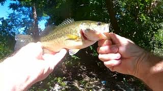 Fishing Otter Creek Middlebury Vermont Part 2 [upl. by Nirej93]