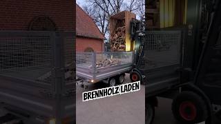 Brennholz laden 🔥shorts firewood [upl. by Fechter]