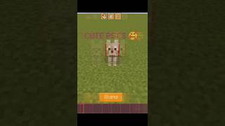 Cute pets VS dangerous pets shorts virelshorts minecraft [upl. by Glori]