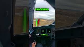 Airplane Crabbing in Crosswind Explained  gregorykovalev1991 [upl. by Namrej387]