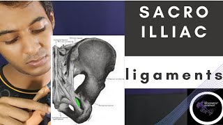 SI JOINT LIGAMENTSBIOMECHANICS OF SPINEPhysiotherapy Tutorial [upl. by Silda199]