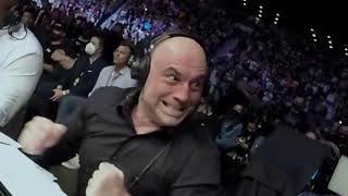 Joe Rogan on Marvis Frazier vs Mike Tyson With UFC Commentary funny comedyvideo joerogan [upl. by Vaasta307]