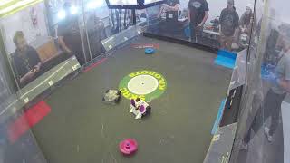 Spin vs Fat Rat Antweight Rookies  Kilobots 53 [upl. by Einre]