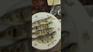 Muhteşem rakı sofrası rakı içenler öldü de su içen ölmedi mi shortvideo [upl. by Alliuqa]