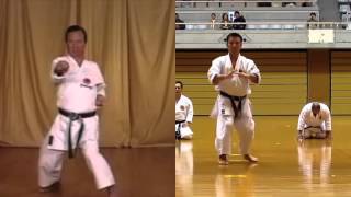 Hangetsu and Seisan were once the same kata but are now very different [upl. by Cuthbert]