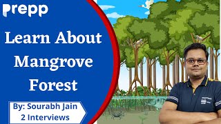 Mangrove forests  Everything to Know  UPSC CSE [upl. by Kirrad818]