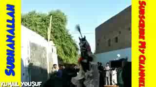 Zuljana doing matam mojza 2018  Mojza of Zuljanah 10 muharram 2018  Mojza in Karbala 2019 1440hij [upl. by Kathryn]