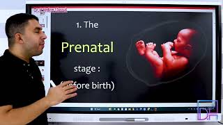 Orthodontic 3 Normal Development of Dentition and Occlusion PreNatal Stage [upl. by Philis603]