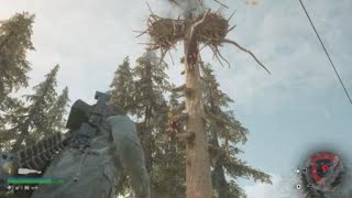 DAYS GONE 1st Freaker Crows Nest [upl. by Sucramraj794]