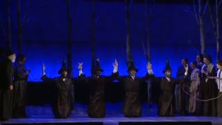 Fiddler on the Roof Bottle Dance [upl. by Lardner]