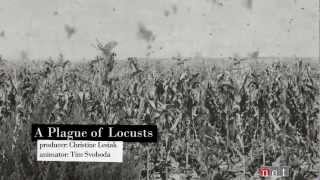 A Plague of Locusts  Nebraska Stories [upl. by Enotna]