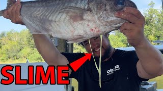 Worlds NASTIEST but BEST TASTING Fish Barrel Fish Catch Clean amp Cook [upl. by Konyn]