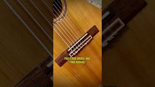 8STRING ACOUSTIC GUITAR IS KIND OF DUMB… [upl. by Esertak62]