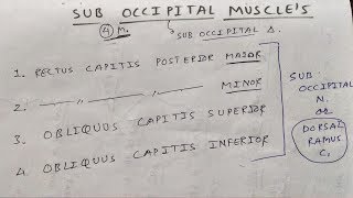 Sub occipital muscle and these nerve supply [upl. by Varin]