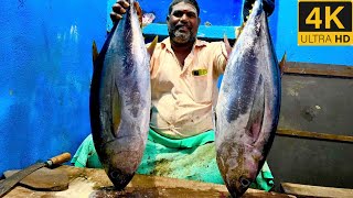 Kerai fish cutting videofishcuttingrsfish kasimedu fishcuttingrs [upl. by Strohben]