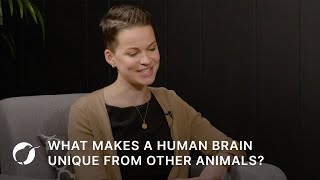 What Makes a Human Brain Unique From Other Animals [upl. by Ilyk369]