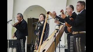 Despedida con mariachi Mariachi Campiranos Peoria IL [upl. by Ahsimit]