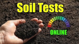 Lawn Soil Test Online [upl. by Nimesay]