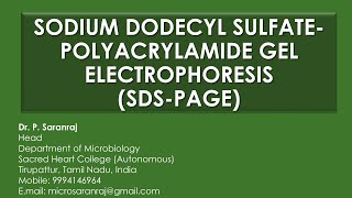 Sodium Dodecyl Sulfate  Polyacrylamide Gel Electrophoresis SDSPAGE [upl. by Sset]