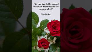 Obadiah 16 ytshorts god jesus jesus bible bibleverse rose flowers flower meditation [upl. by Karilla]