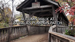 Autumn Walk at Vala’s Pumpkin Patch and Apple Orchard 4K  Fall Ambient Sounds [upl. by Rozalie]