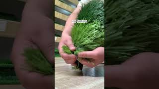 artificialturf turfgrass turfgrassmanagement syntheticgrass diy artificialgrassexperts [upl. by Eceinwahs864]