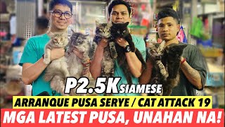 MGA LATEST PUSA SA ARRANQUE  FEBRUARY 29 2024 [upl. by Delle110]