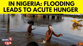 Nigeria News Today  The Aftermath Of Flooding Is Raising Alarming Humanitarian Concerns  N18G [upl. by Ylekalb]