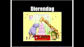 Dierendag groep 34 [upl. by Simmons839]