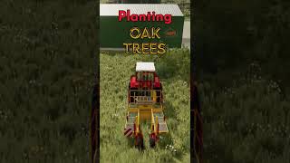 Farming Simulator 22 Planting Oak Trees farmingsimulator22 fs22 shorts [upl. by Ttam]