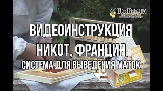 Никот Видеоинструкция система для выведения маток NICOT [upl. by Nalla]