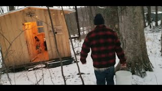 Collecting Maple Sap amp Firing Up the Evaporator  Zionville NC [upl. by Attikram]