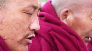 Dalai Lama Biography and Life Story  Full Documentary [upl. by Milde]