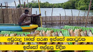 River Prawns hunting and Cooking Sri Lanka [upl. by Alemrac475]