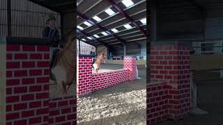 Showjumping  puissance wall  dutch warmblood [upl. by Garik]