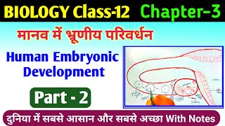 biology class 12 chapter 3  manav janan class 12th  embryonic development  human reproduction [upl. by Aiblis]