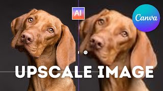 How To Upscale Image In Canva AI Photo Enhancer [upl. by Aldo]