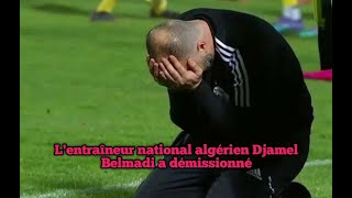 Lentraîneur national algérien Djamel Belmadi a démissionné [upl. by Morganne]