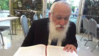 Why Did Moshe Rabbeinu Want to go to Eretz Israel 1 [upl. by Mok748]