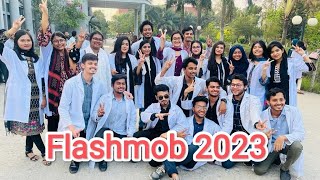 Flashmob 2023  Shaheed Ziaur Rahman Medical College  Bogura [upl. by Moitoso]