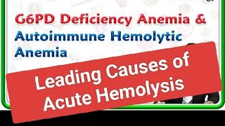 Leading Causes of Pediatric Acute Hemolysis [upl. by Ttevi]